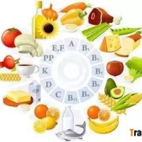 halal bovine skin gelatin