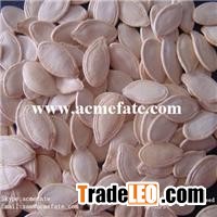 Wholesale raw shin skin pumpkin seeds with best price for sale