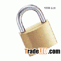 Padlock Pin