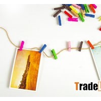 25mm mini wood clothespins