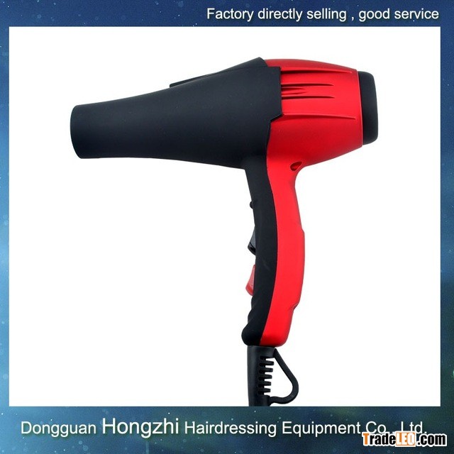 Professional hair dryer