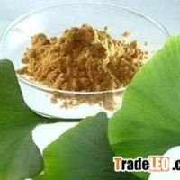 24%6%Flavonoids/Lactone Ginko biloba extract
