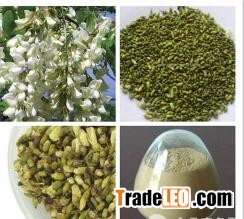 Rutin,Sophora Japonica Extract,Rutoside