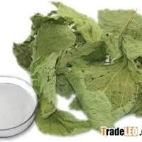 Stevia Extract