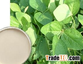 Soybean Extract