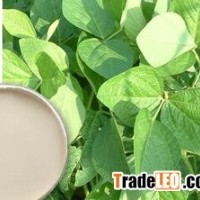 Soybean Extract