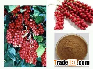Factories supply pure natural Schisandra extract