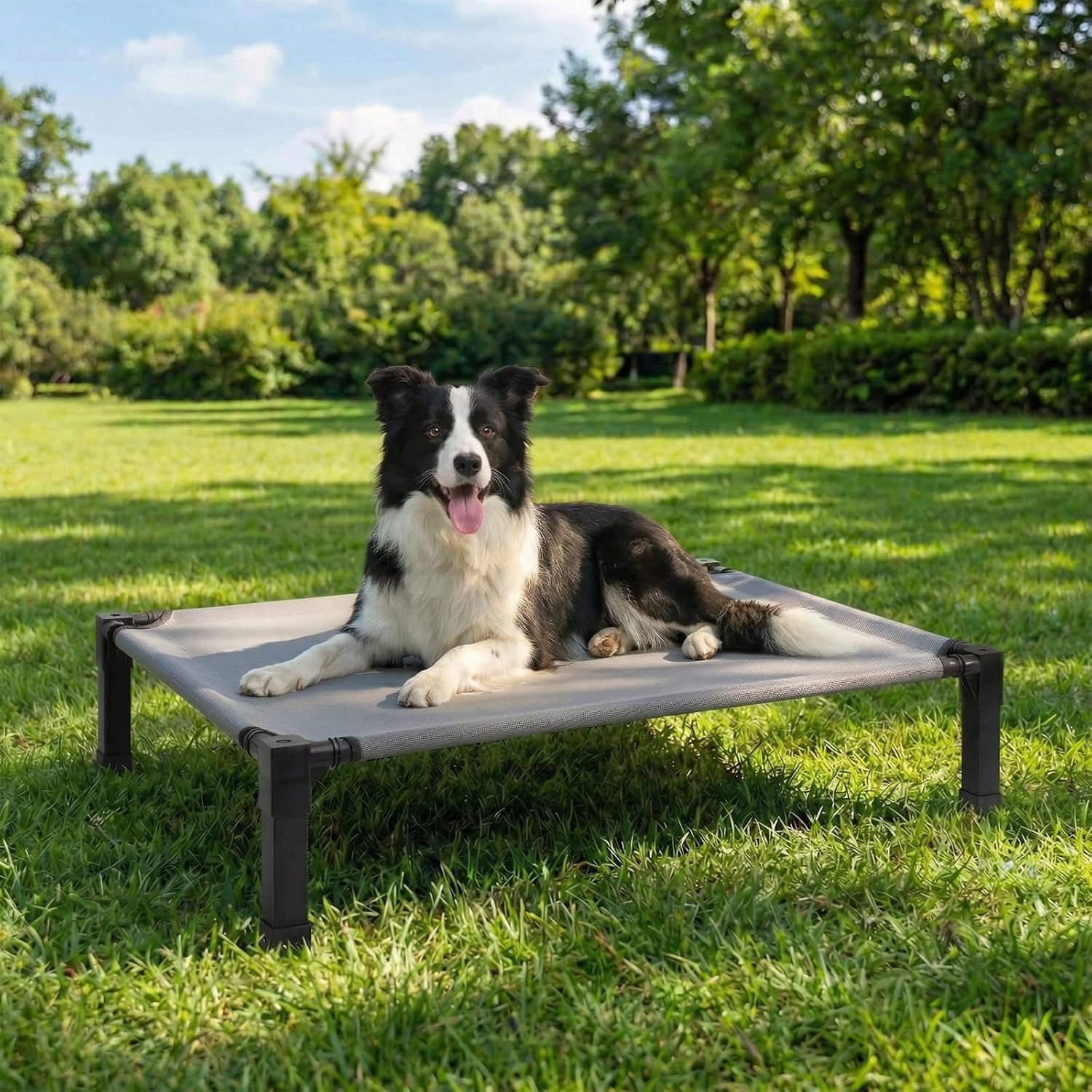 Elevated Dog Bed Raised Pet Cot with Breathable Mesh Cooling Bed