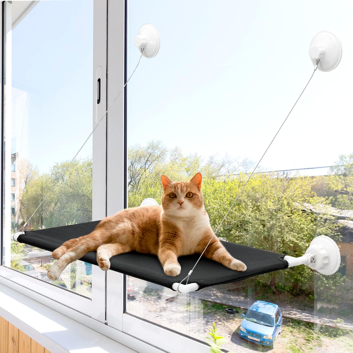 Cat Window Perch Hammock Bed Suction Cup Cat Bed Space Saving