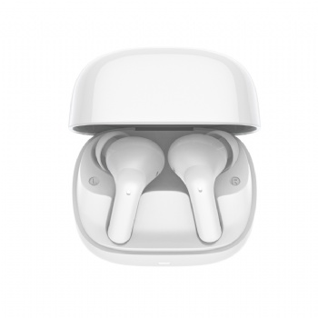 6 Mic ANC ENC Earbuds